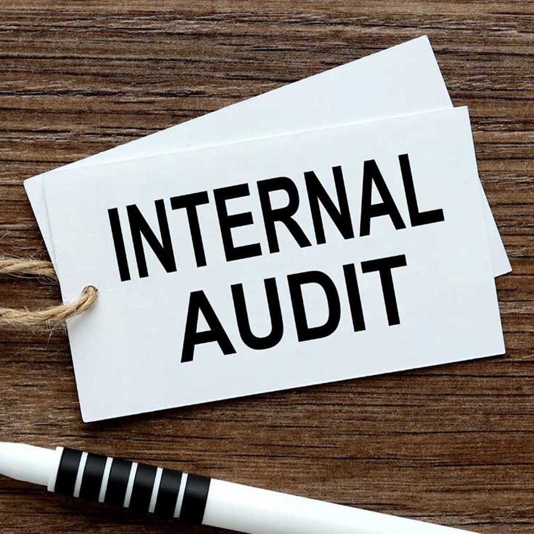 Establishing Risk Based Internal Audit - RBIA